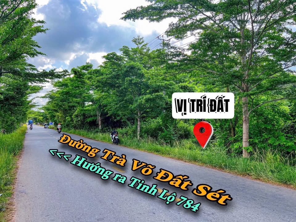 Đất thổ cư 50m² mặt tiền đường Trà Võ Gò Dầu 1.3 tỷ - Đầu tư sinh lời ngay!