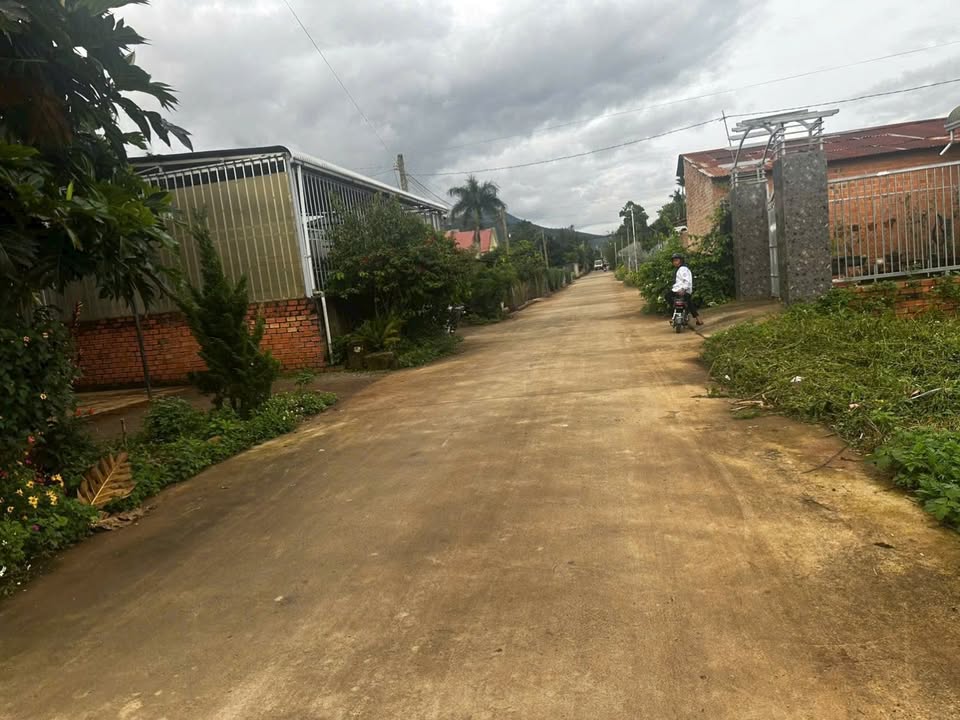 Nhà cấp 4 tại Đức Trọng, Lâm Đồng 161m² giá 3.1 tỷ - Cơ hội đầu tư tuyệt vời!