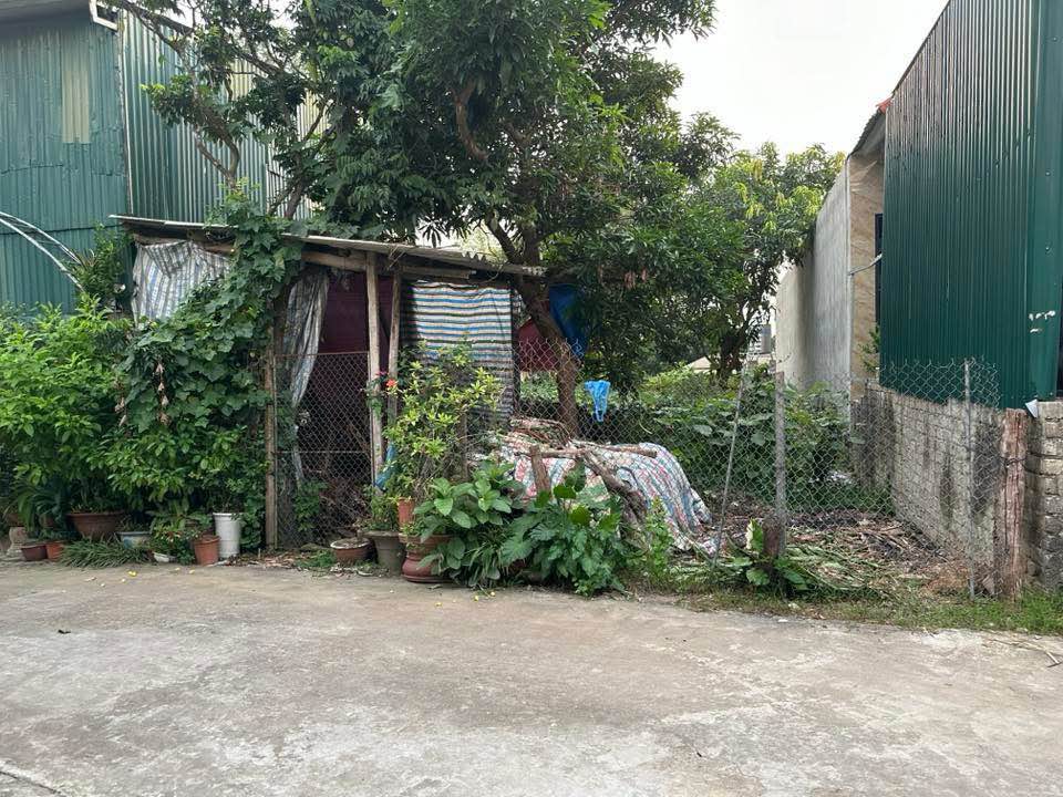 Đất nền Nông Tiến Tuyên Quang 148m² giá chỉ 800 triệu - Cơ hội đầu tư tuyệt vời!