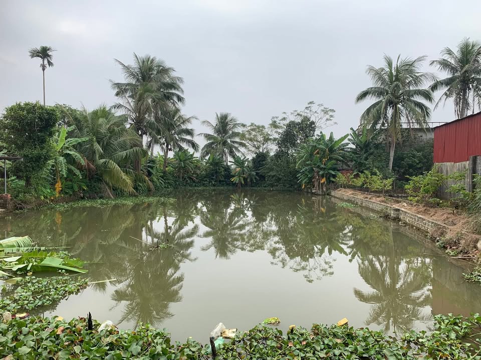 Đất nền Đồng Minh - Vĩnh Bảo 623m² giá 2 tỷ - Cơ hội đầu tư hấp dẫn!