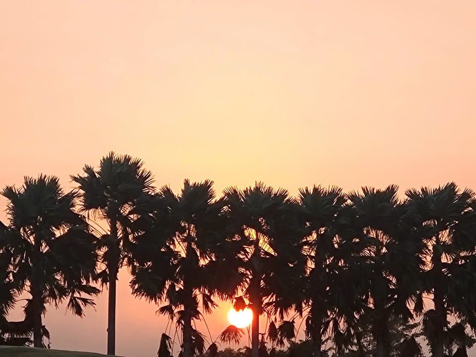 Đất nghỉ dưỡng 3200m² Thới An Ô Môn - Giá chỉ 3.2 tỷ, sẵn nhà và cây ăn trái!