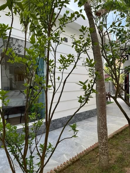 Villa nghỉ dưỡng Cẩm Hà Hội An 594m² giá 31 tỷ - Tài sản an yên giữa thiên nhiên