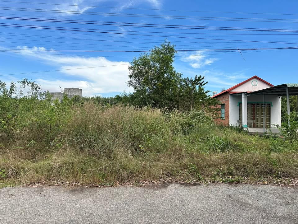 Đất nền Dầu Tiếng Bình Dương 580m² - Đối diện sông Sài Gòn mát mẻ!