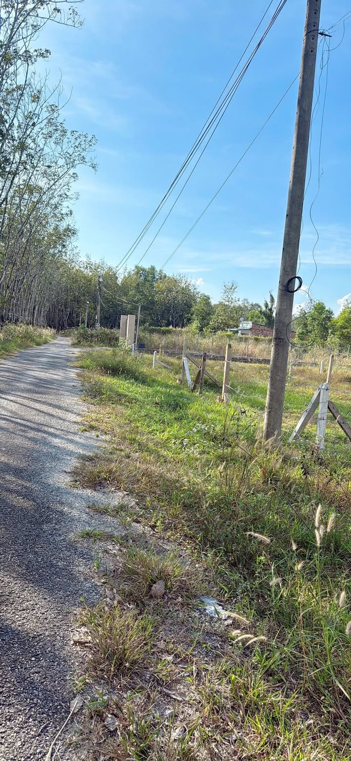 Đất thổ cư Định Thành Dầu Tiếng 155m² giá chỉ 4xx triệu - Cơ hội đầu tư tuyệt vời!