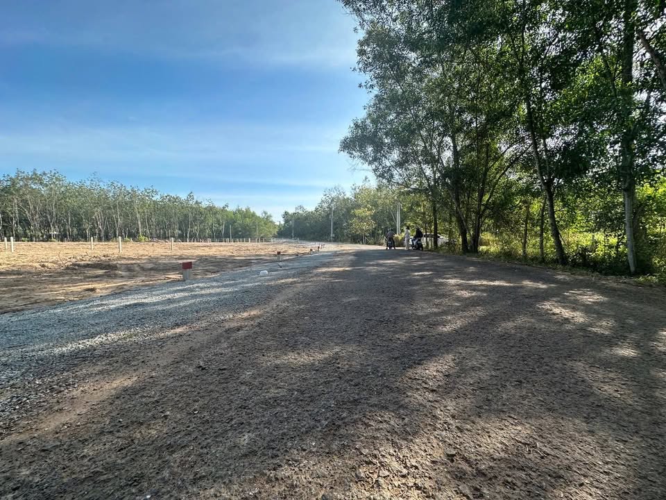 Đất nền Định Thành Dầu Tiếng 235m² - Giá thỏa thuận, cơ hội đầu tư hấp dẫn!