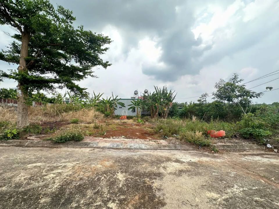 Đất thổ cư Thành Đồng 3, Khánh Xuân, 112m² giá 1.39 tỷ - Cơ hội đầu tư lý tưởng!