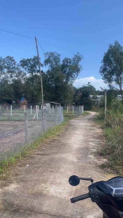 Đất trồng cây An Phú Tam Kỳ 600m² giá rẻ - Hướng Đông mát mẻ