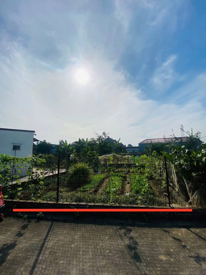 Đất Kiến Thiết Tiên Lãng 76.9m² giá 900 triệu - Ô tô vào tận nơi!