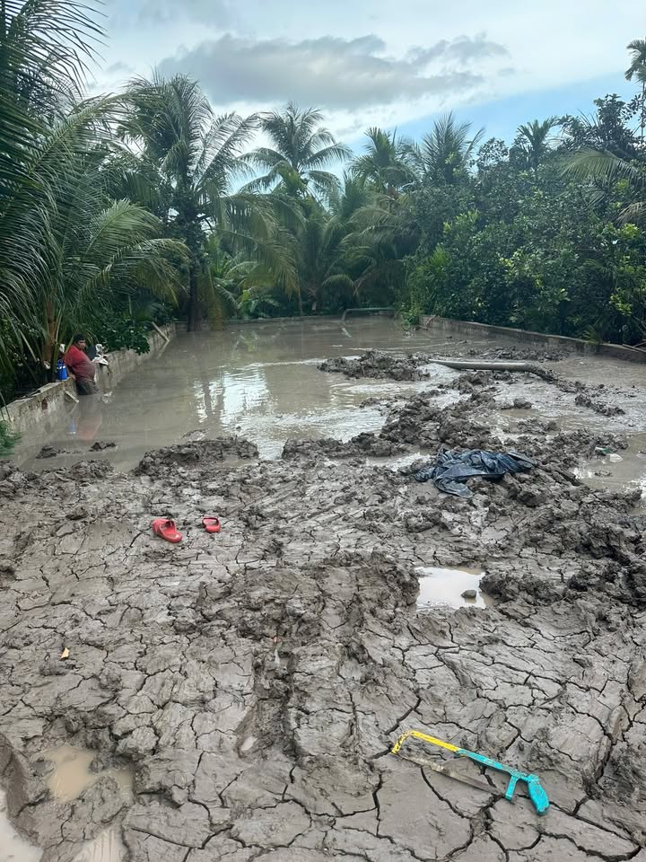 Đất nền 300m² xã Long Hưng, Châu Thành – Giá chỉ 2.3 tỷ, Sẵn sàng xây dựng!