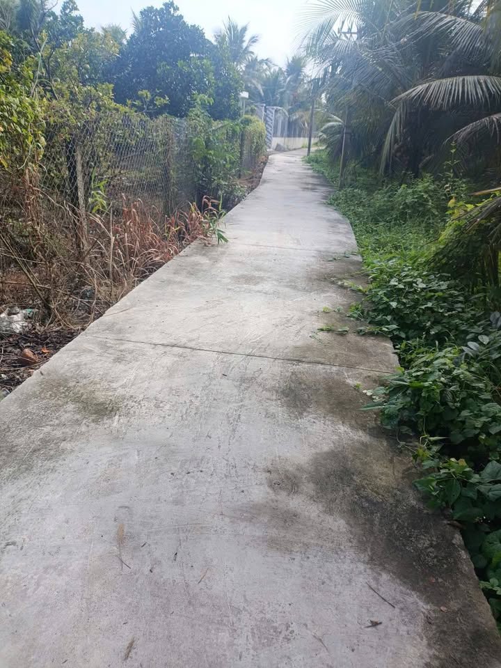 Đất vườn Bình Lợi Tân Mỹ Chánh 2900m² giá 1 tỷ - Đầu tư lý tưởng cho nghỉ dưỡng