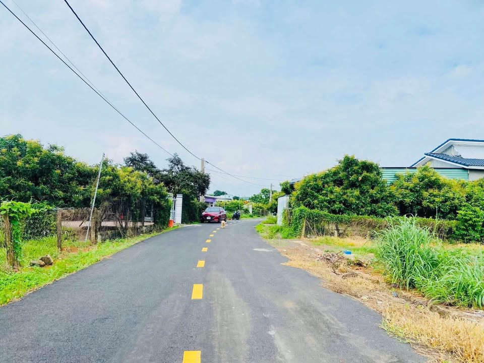 Đất nền Xuyên Mộc Bà Rịa - Vũng Tàu 1000m² giá 1.68 tỷ - Đầu tư sinh lời cao!