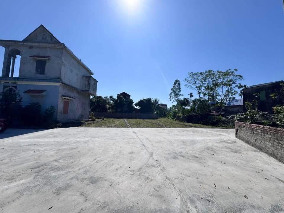 Đất Cẩm Chế Thanh Hà 160m² giá chỉ từ 100 triệu - Cơ hội đầu tư tuyệt vời!