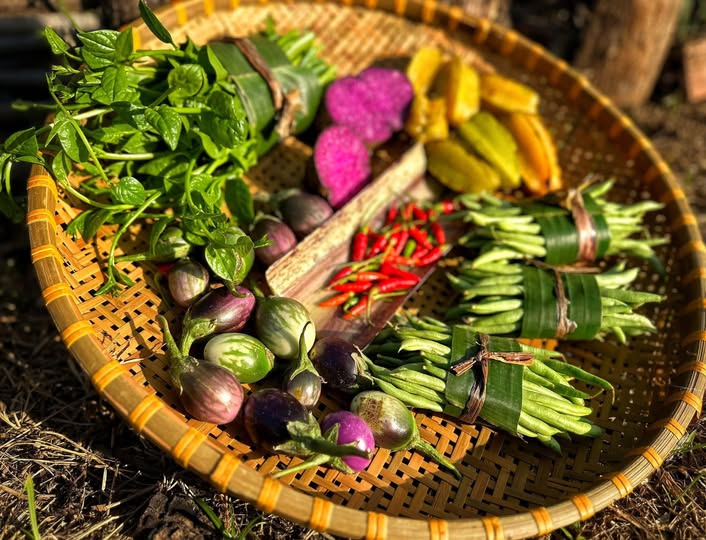 Đất nền Lộc Bình 50m² giá 1.2 tỷ - Cắt lỗ nhanh chóng!