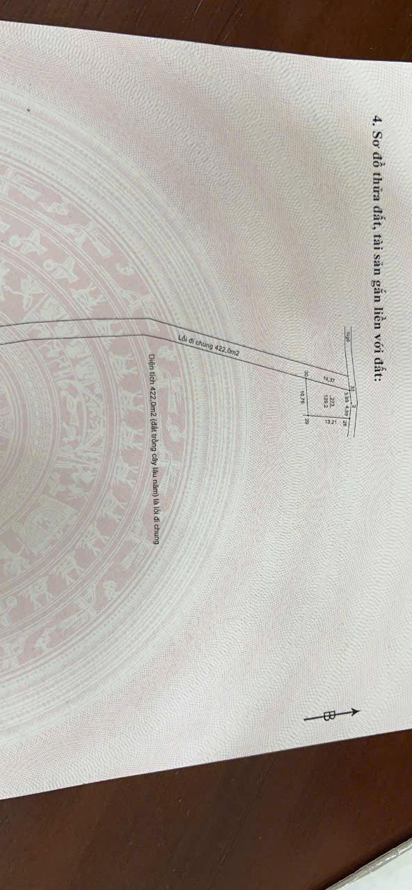 Đất thổ cư 129m² tại Cẩm An, Ba Vì giá chỉ 1 tỷ - Cơ hội đầu tư hấp dẫn!