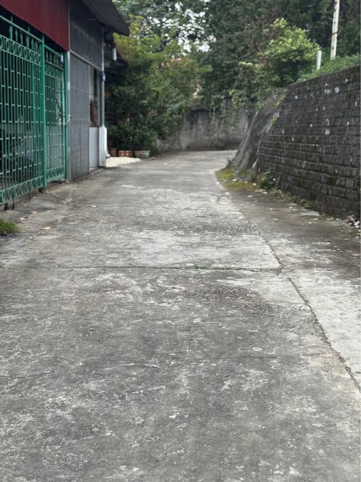 Bán đất Yên Ninh, Yên Bái 61m² giá 650 triệu - Ô tô đậu cửa, vị trí lý tưởng!