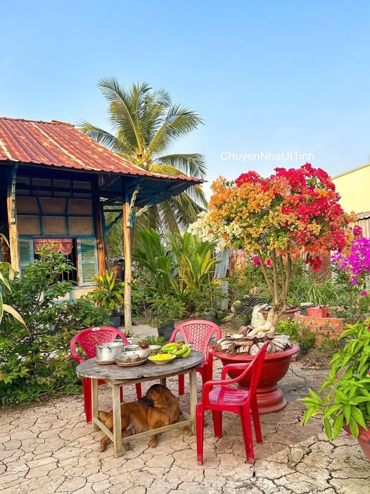 Nhà mặt tiền đường Dương Công Khi, huyện Hóc Môn, 45m² giá 1.6 tỷ - Cơ hội kinh doanh tuyệt vời!