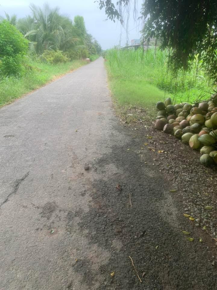 Đất mặt tiền lộ nhựa Tân Mỹ, Ba Tri 3600m² giá 5.1 tỷ - Đầu tư sinh lời ngay!