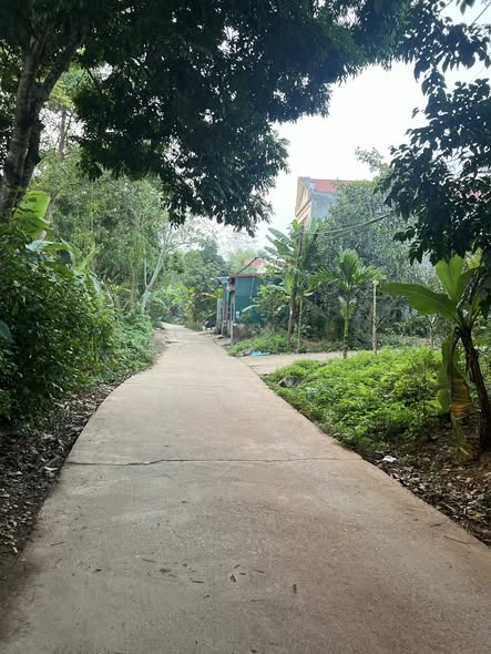 Đất nền Nông Tiến Tuyên Quang 220m² giá 2 tỷ - Đầu tư sinh lời ngay!