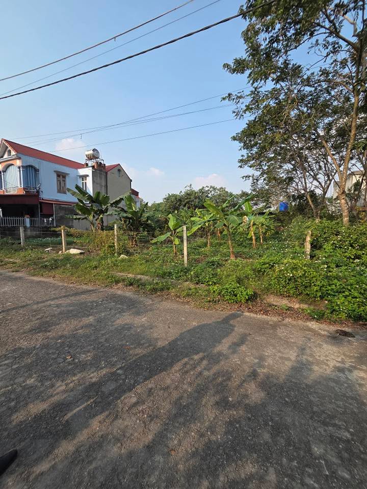Đất nền xã Phong Doanh, Ý Yên 140m², giá 2 tỷ - Cơ hội đầu tư sinh lời!