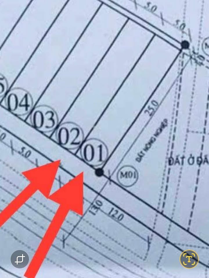 Đất nền TL516B Yên Lạc 300m² - Kinh doanh thuận lợi, mặt tiền rộng!