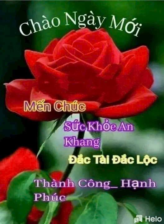 Biệt thự Bà Điểm Hóc Môn 200m² giá 8.5 tỷ - Pháp lý rõ ràng, chính chủ!