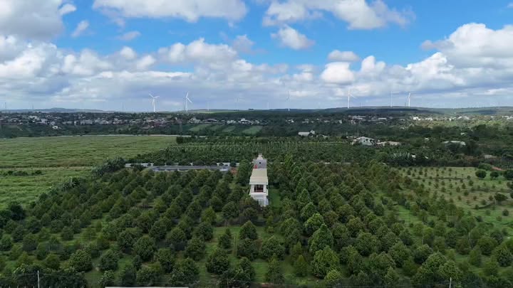 Lô đất rẫy sầu riêng 18,2 ha tại Ia Tô, Gia Lai - Tiềm năng kinh doanh vượt trội!