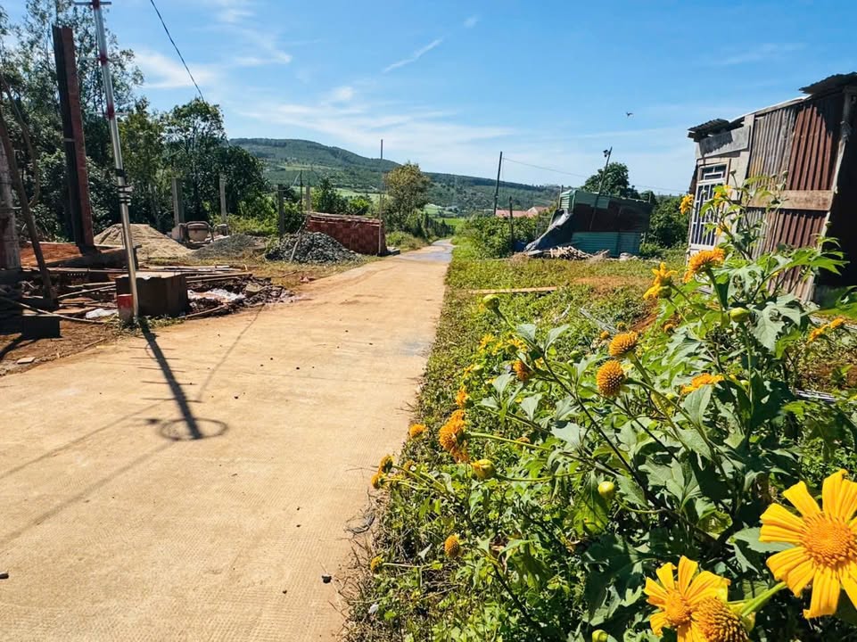 Đất nền Hội Phú Pleiku 110m² giá 350 triệu - Sổ hồng chính chủ!