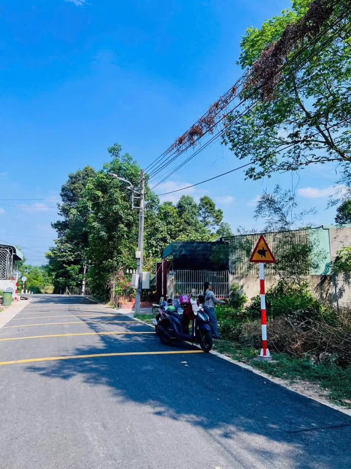 Bán đất mặt tiền nhựa Phú An, Bến Cát, Bình Dương 315m² - Pháp lý rõ ràng, đầu tư sinh lời!