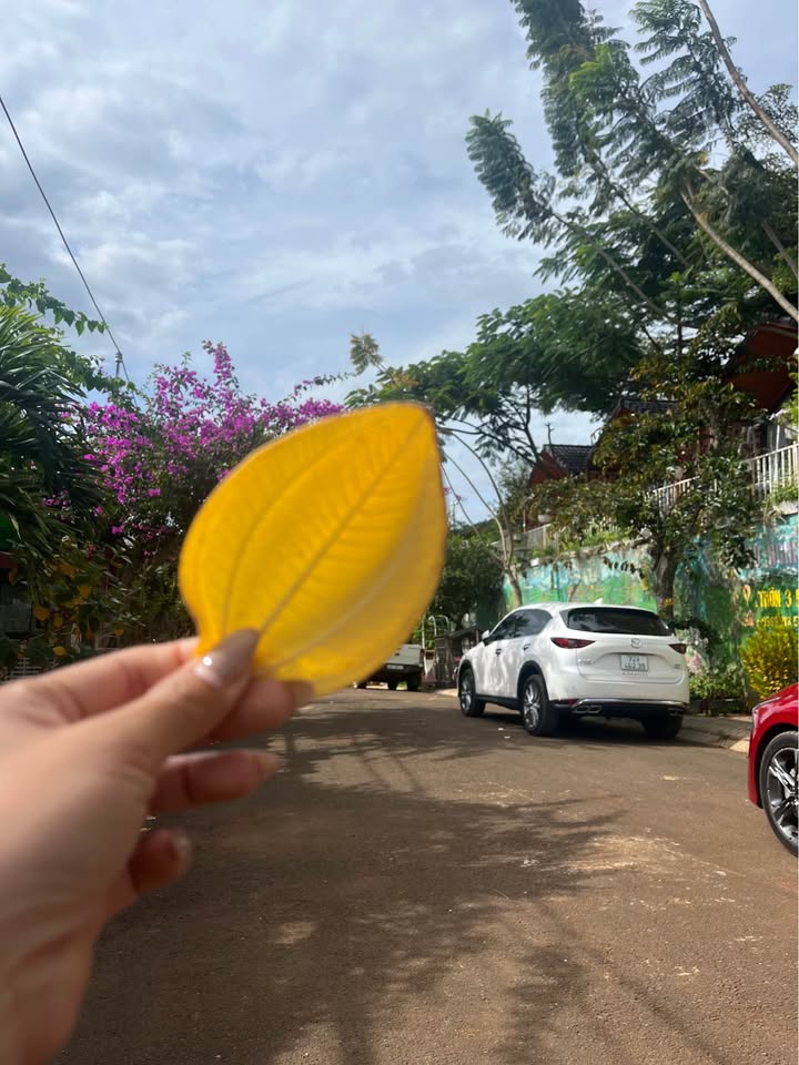 Đất 1 xào Nam Ban Lâm Hà 2 tỷ - Vị trí đắc địa, cơ hội đầu tư hiếm có!