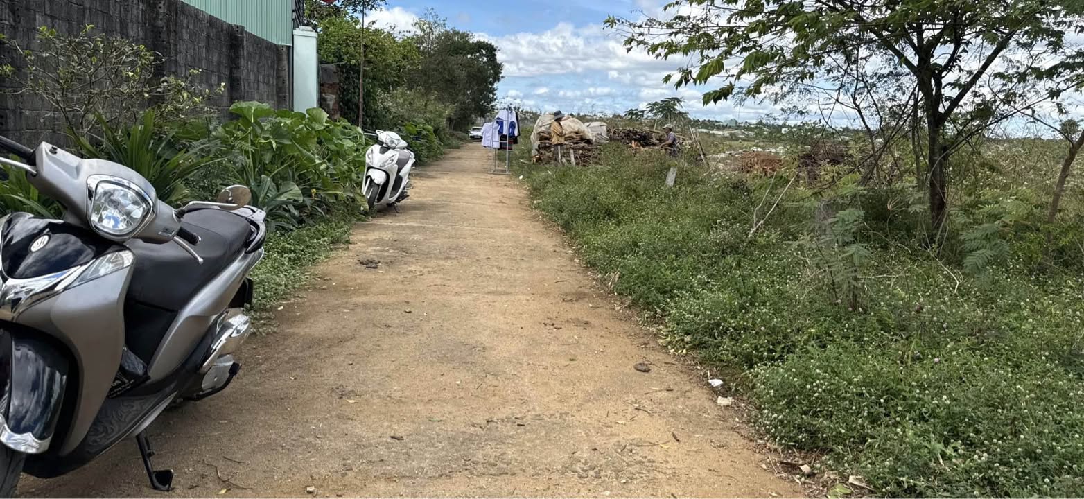 Lô đất liền kề Phạm Ngọc Thạch, Pleiku 100m² giá 600 triệu - Sổ đỏ chính chủ!