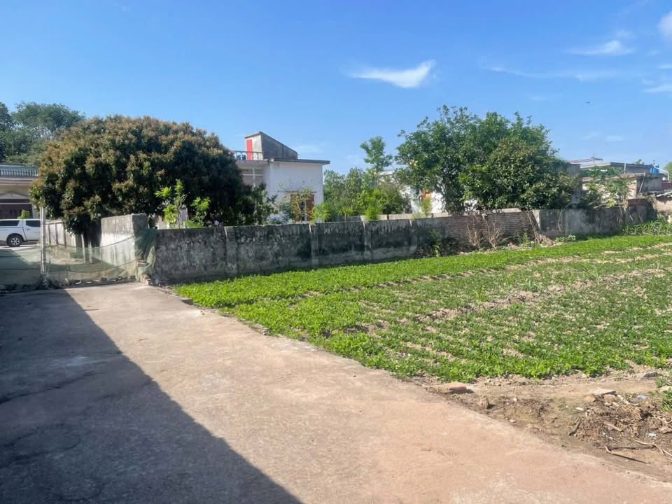 Đất thổ cư Nam Hồng Tiền Hải 90m² giá 400 triệu - Đường ô tô vào tận nơi!