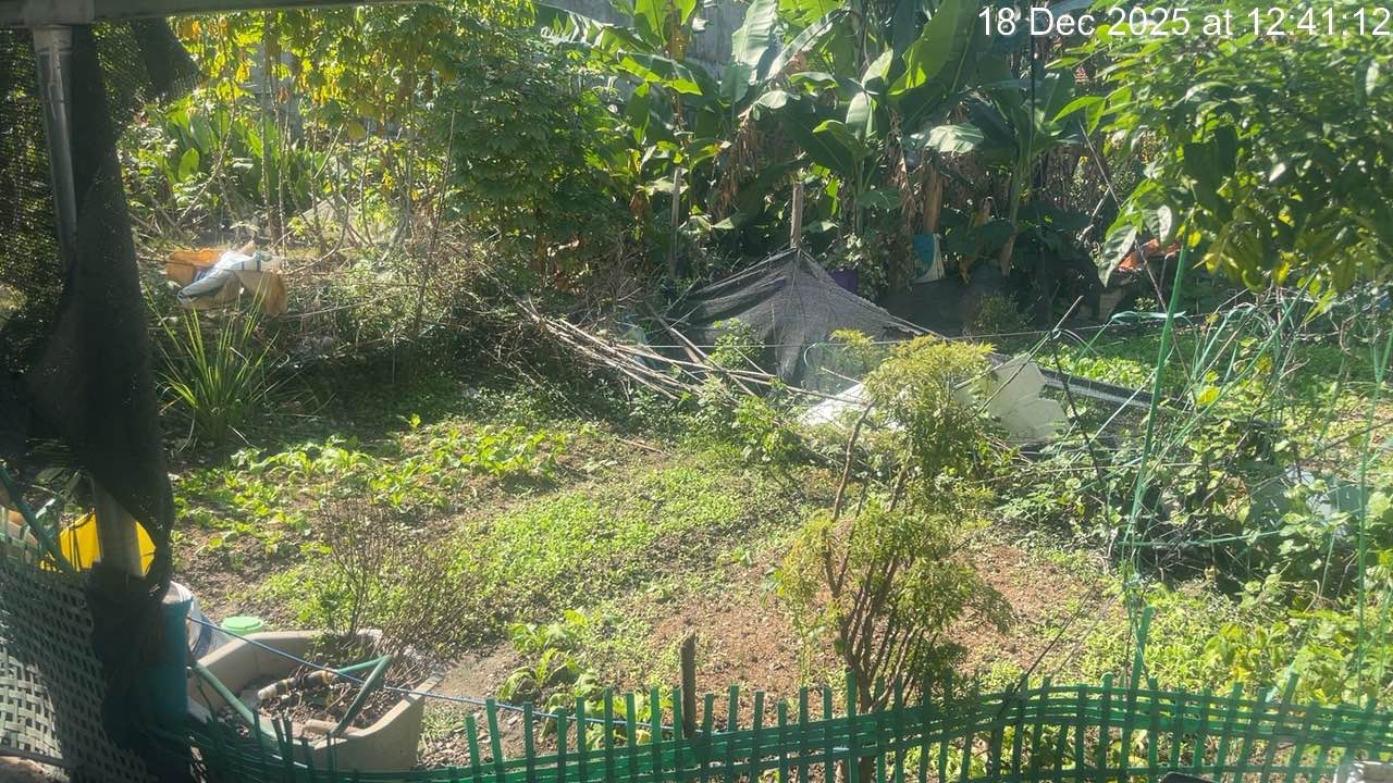 Đất nền Trới, Hoành Bồ 100m² - Chính chủ bán gấp!