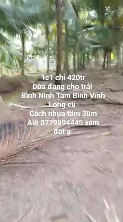 Đất nền Ngãi Tứ, Tam Bình, Vĩnh Long 1100m² giá 420 triệu - Đầu tư sinh lời ngay!