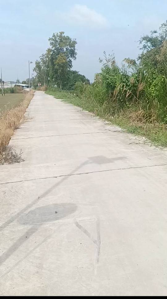 Đất vườn 3210m² tại Đông Thuận, Thới Lai - Giá chỉ 690 triệu