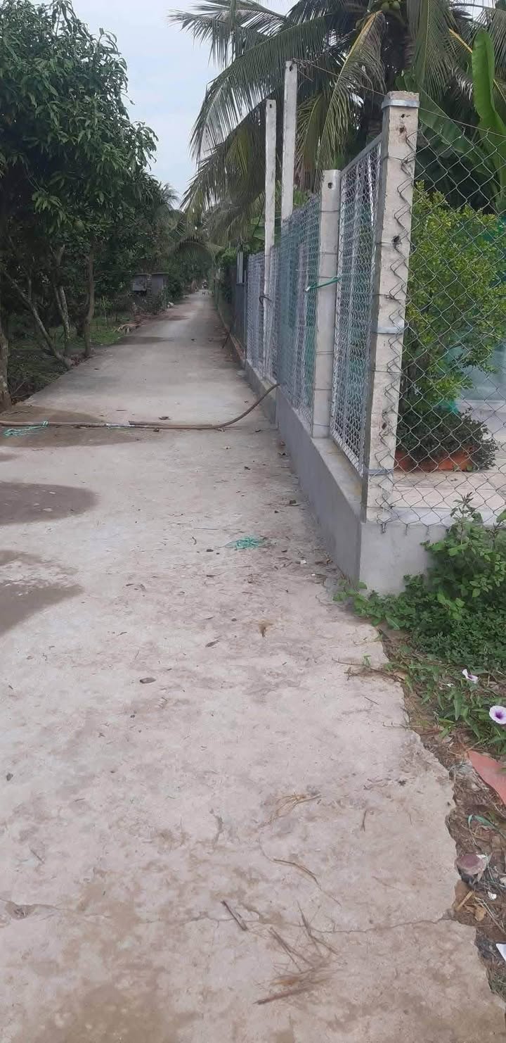 Đất nền 160m² xã Thạnh Mỹ, Vĩnh Thạnh - Mặt tiền đẹp, chỉ 320 triệu!