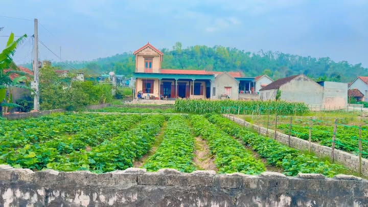 Đất thổ cư tại Thôn 13, Xã Quỳnh Văn, Nghệ An - Diện tích 132m² - Sổ đỏ chính chủ, giá thỏa thuận!