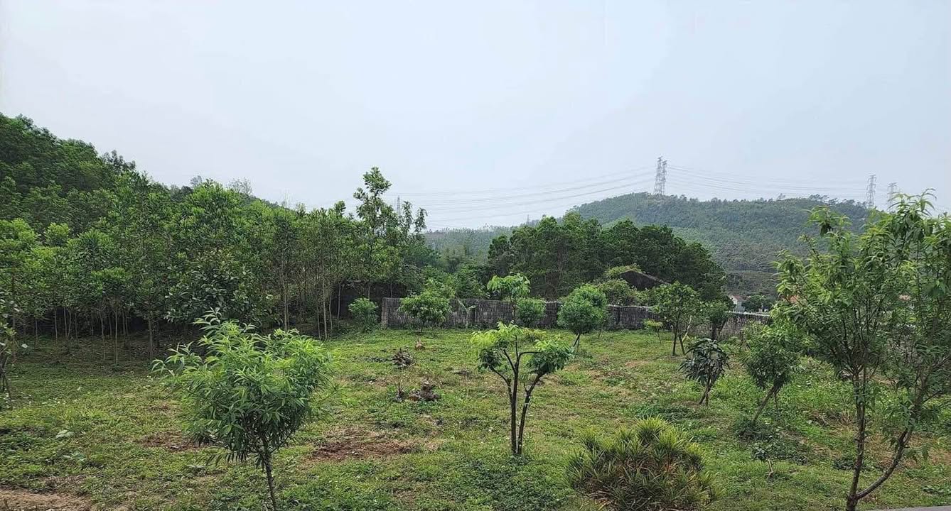 Đất nền Khe Khoai - Thống Nhất - Hạ Long 2400m² giá thỏa thuận - Đầu tư tiềm năng!