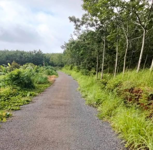 Đất thổ cư Lộc Thiện 350m² giá chỉ 200 triệu - Cơ hội đầu tư tuyệt vời!