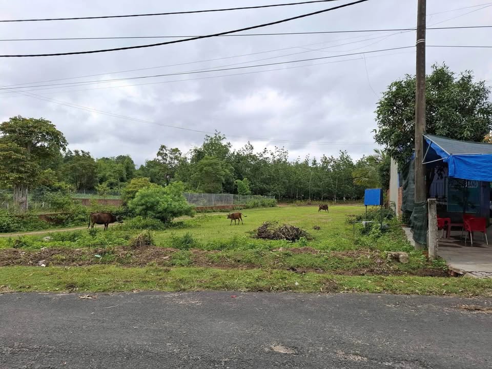 Đất thổ cư đường Nguyễn Lương Bằng, thành phố Kon Tum 390m² - Gần chợ, trường học!