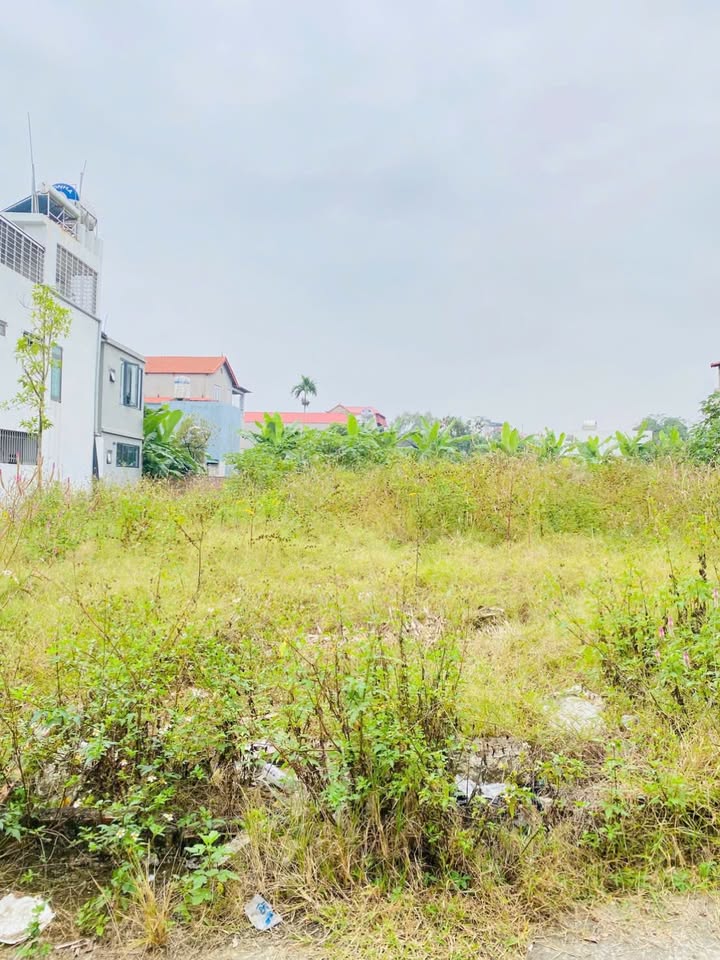 Đất Liên Bảo, Vĩnh Yên 92m² giá 2.4 tỷ - Mặt tiền 5m, vị trí trung tâm!