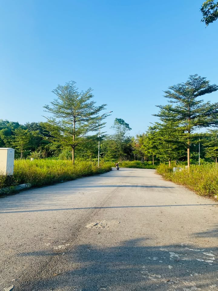 Lô đất phân lô Vân Hội City 100m² giá 26 tỷ - Sổ đỏ chính chủ, vị trí đắc địa!