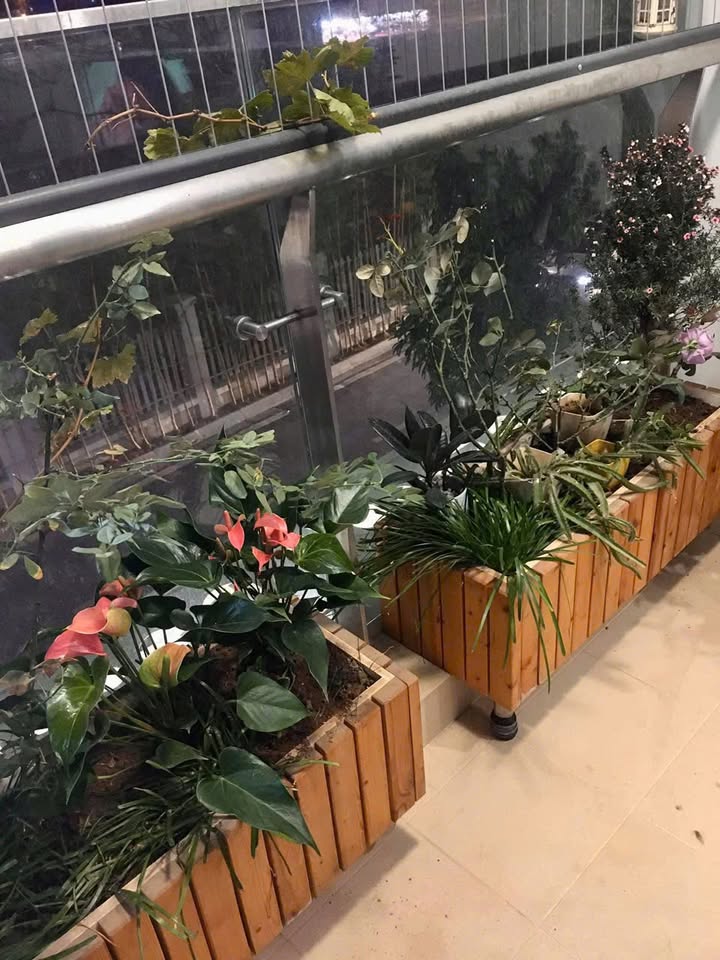 Chung cư THT NewCity Hoài Đức 2PN giá 7.5 triệu - Sẵn sàng cho thuê ngay!