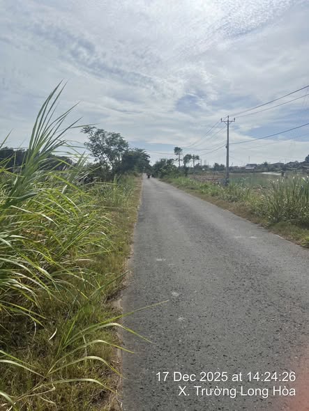 Đất nền Trường Long Hoà Trà Vinh 1200m² - Mặt tiền đường N1 mới quy hoạch!