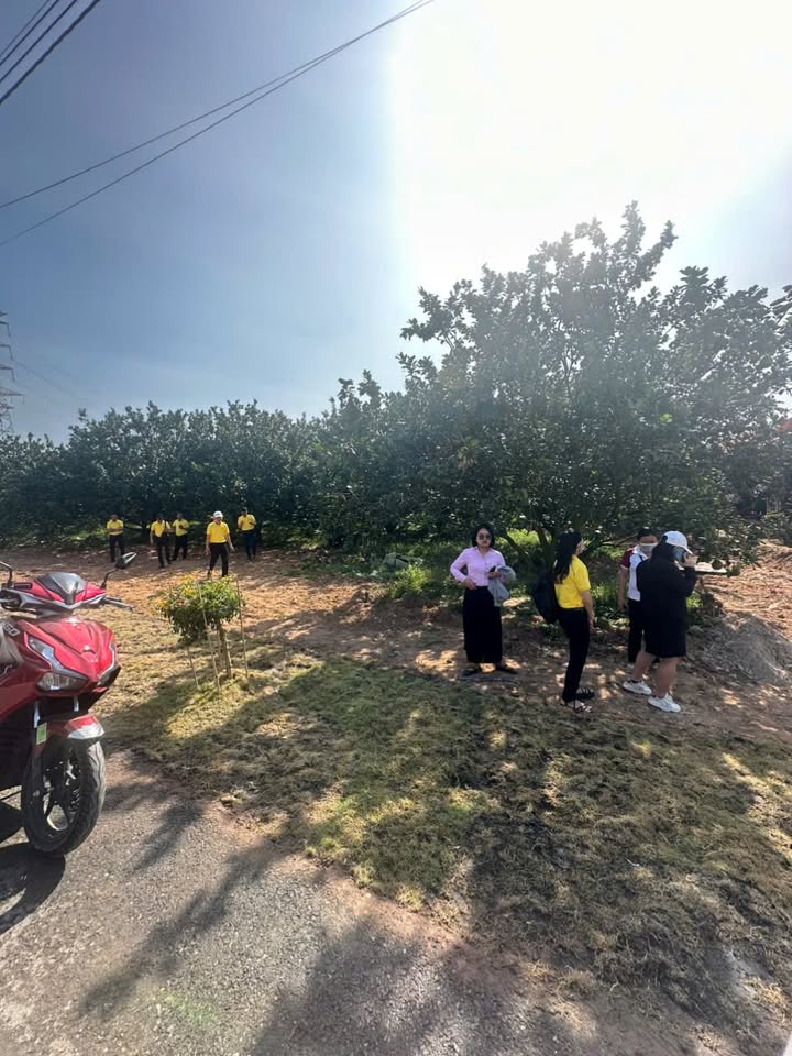 Đất nền Trừ Văn Thố, Bàu Bàng 250m² chỉ 350 triệu - Tặng vườn bưởi thu hoạch!