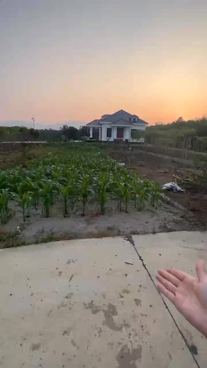 Đất nền Tu Vũ, Thanh Thủy 150m² - Tiềm năng đầu tư cao, giá nhẹ nhàng!