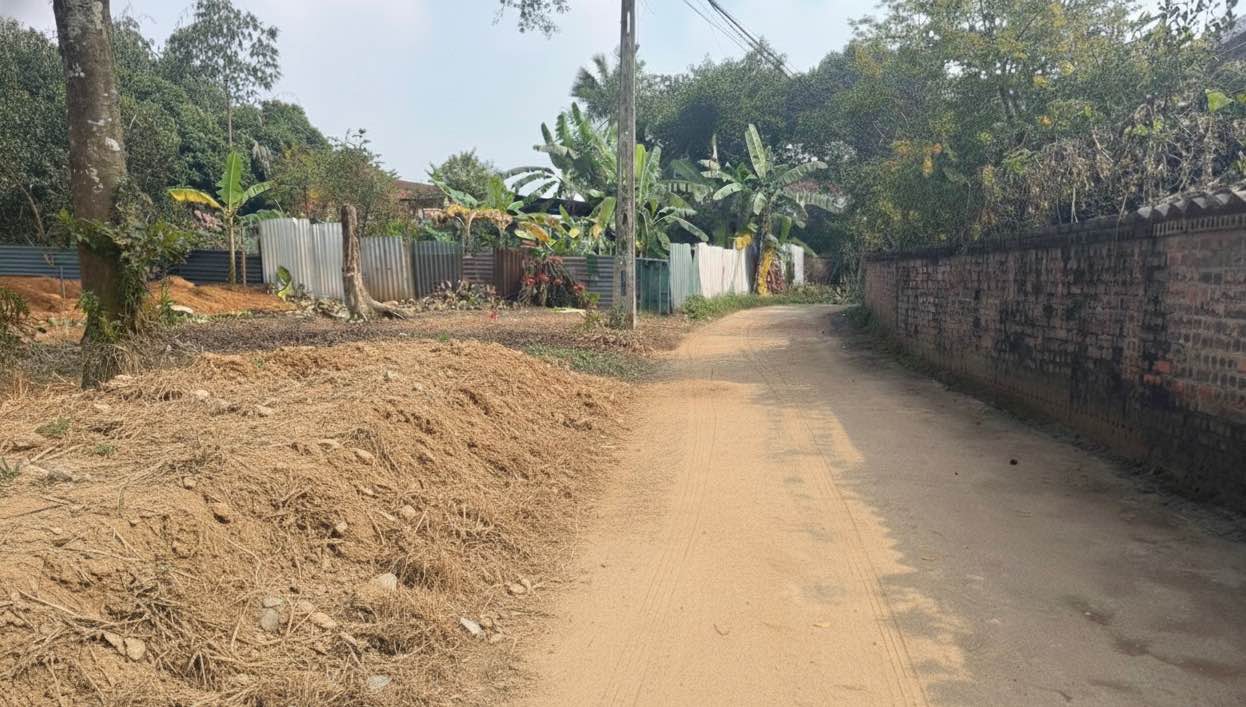 Đất nền Thanh Đình, Việt Trì 93m² giá 700 triệu - Đầu tư sinh lời ngay!