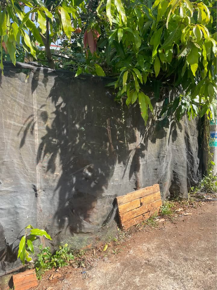 Đất hẻm 179 Cách Mạng, Phường Hoa Lư, 89m² giá 1.05 tỷ - Tiện ích đầy đủ ngay trung tâm!