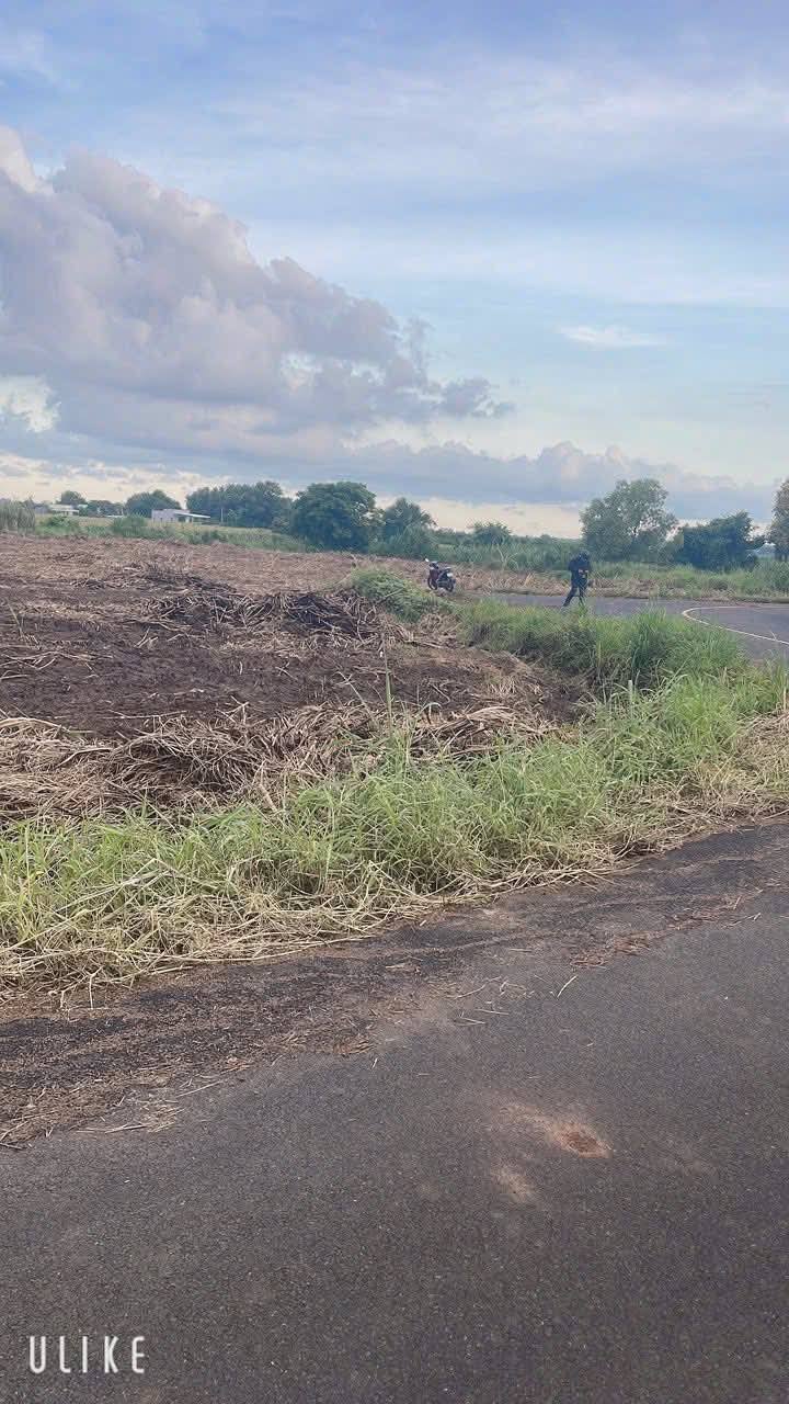 Đất nền Láng Dài Đất Đỏ 3600m² giá chỉ 850 triệu - Cơ hội đầu tư hấp dẫn!