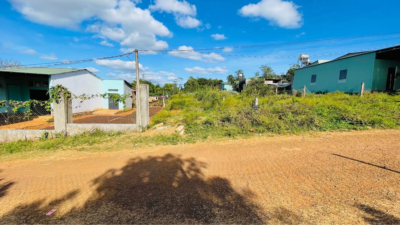 Đất nền Đồi Thông, huyện Ia Grai, Gia Lai 100m² giá chỉ 700 triệu - Cơ hội đầu tư lý tưởng!