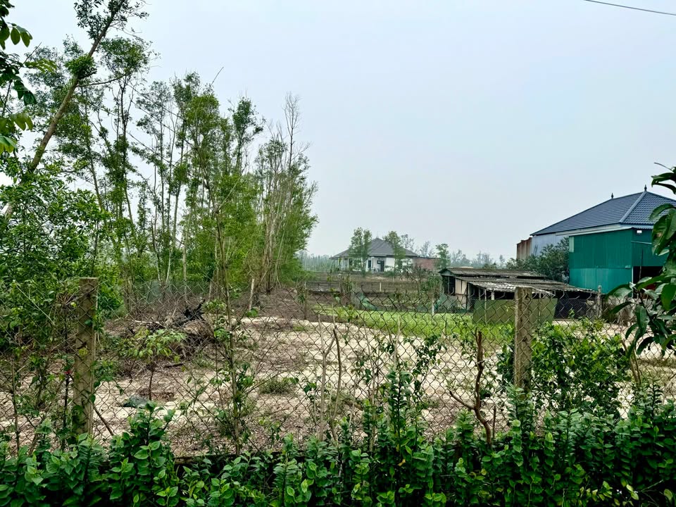 Đất thổ cư thôn Đông Văn, Thạch Văn 1188m² giá 2 tỷ - Cơ hội đầu tư hiếm có!